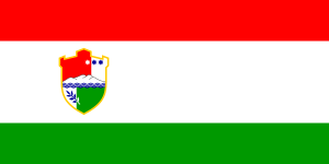 Zzzzz 1731321595img2649 — Ultimate Flag option 1109
