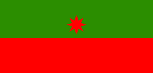 Zzzzz 1731326396img2803 — Ultimate Flag option 872