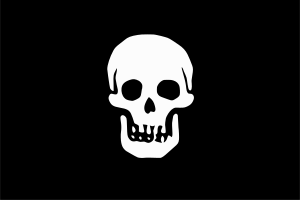 Zzzzz 1731326397img2835 — Ultimate Flag option 890
