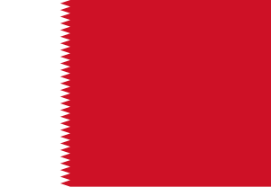 Zzzzz 1731326397img2847 — Ultimate Flag option 897