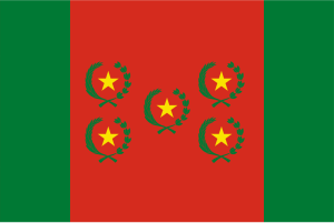 Zzzzz 1731326397img2862 — Ultimate Flag option 911