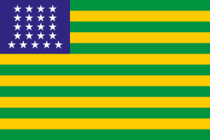 Zzzzz 1731326397img2872 — Ultimate Flag option 919