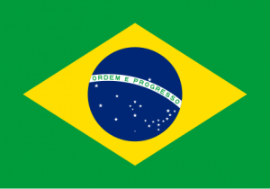 Zzzzz 1731326397img2874 — Ultimate Flag option 921