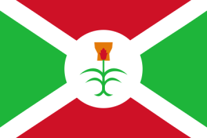 Zzzzz 1731326398img2886 — Ultimate Flag option 932