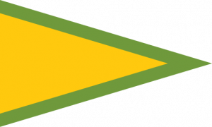 Zzzzz 1731326398img2889 — Ultimate Flag option 935