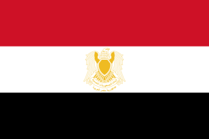 Zzzzz 1731326399img2945 — Ultimate Flag option 990