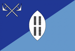Zzzzz 1731326399img2950 — Ultimate Flag option 995
