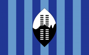 Zzzzz 1731326399img2951 — Ultimate Flag option 996
