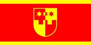 Zzzzz 1731328752img2657 — Ultimate Flag option 1117