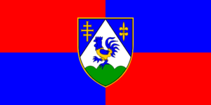 Zzzzz 1731328752img2658 — Ultimate Flag option 1118