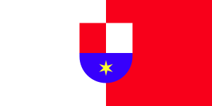 Zzzzz 1731328752img2659 — Ultimate Flag option 1119