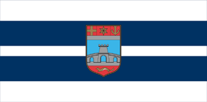 Zzzzz 1731328752img2661 — Ultimate Flag option 1121