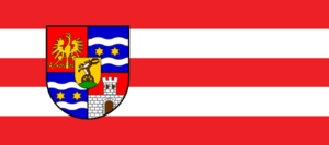 Zzzzz 1731328752img2664 — Ultimate Flag option 1124