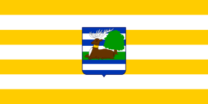 Zzzzz 1731328752img2666 — Ultimate Flag option 1126