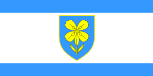 Zzzzz 1731328752img2667 — Ultimate Flag option 1127