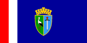 Zzzzz 1731328752img2668 — Ultimate Flag option 1128