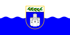 Zzzzz 1731328752img2669 — Ultimate Flag option 1129