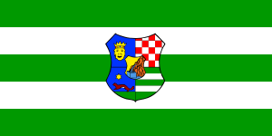 Zzzzz 1731328752img2670 — Ultimate Flag option 1130