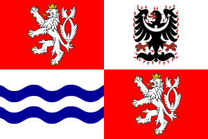 Zzzzz 1731328752img2673 — Ultimate Flag option 1133