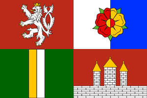 Zzzzz 1731328752img2674 — Ultimate Flag option 1134