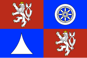 Zzzzz 1731328752img2678 — Ultimate Flag option 1138