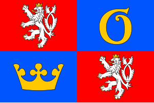 Zzzzz 1731328752img2679 — Ultimate Flag option 1139