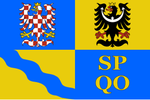Zzzzz 1731328752img2682 — Ultimate Flag option 1142