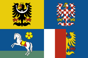 Zzzzz 1731328752img2684 — Ultimate Flag option 1144