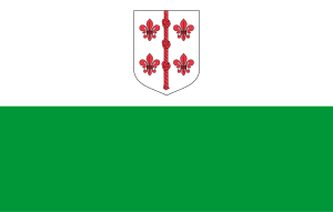 Zzzzz 1731328752img2686 — Ultimate Flag option 1146