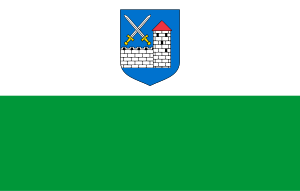 Zzzzz 1731328752img2687 — Ultimate Flag option 1147