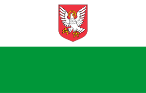Zzzzz 1731328752img2690 — Ultimate Flag option 1149
