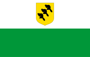 Zzzzz 1731328752img2693 — Ultimate Flag option 1152