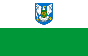 Zzzzz 1731328753img2700 — Ultimate Flag option 1159