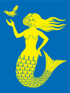 Zzzzz 1731328753img2707 — Ultimate Flag option 1167