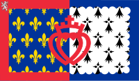 Zzzzz 1731328753img2721 — Ultimate Flag option 1181