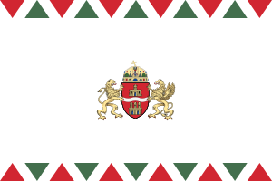 Zzzzz 1731328753img2743 — Ultimate Flag option 1203