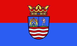 Zzzzz 1731328753img2746 — Ultimate Flag option 1206