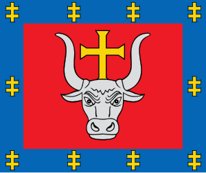 Zzzzz 1731328753img2778 — Ultimate Flag option 1237