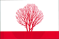 Zzzzz 1731372493img2985 — Ultimate Flag option 1258
