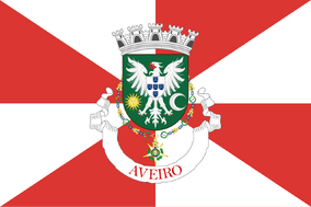 Zzzzz 1731372493img3021 — Ultimate Flag option 1291