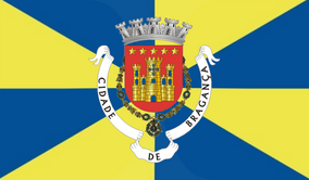 Zzzzz 1731372493img3024 — Ultimate Flag option 1294
