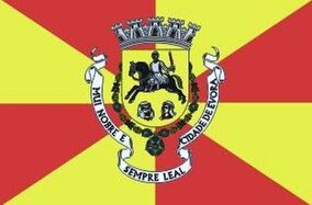 Zzzzz 1731372493img3027 — Ultimate Flag option 1297