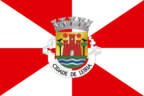Zzzzz 1731372493img3030 — Ultimate Flag option 1300