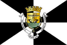 Zzzzz 1731372493img3031 — Ultimate Flag option 1301