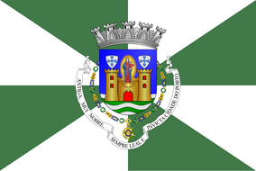 Zzzzz 1731372493img3033 — Ultimate Flag option 1303