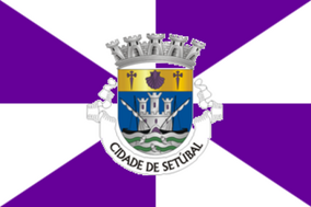 Zzzzz 1731372493img3035 — Ultimate Flag option 1305