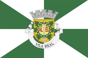Zzzzz 1731372493img3037 — Ultimate Flag option 1307