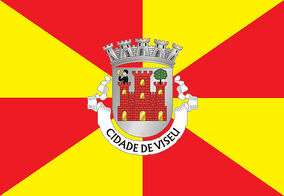 Zzzzz 1731372493img3038 — Ultimate Flag option 1308