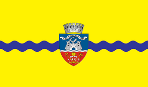 Zzzzz 1731372493img3039 — Ultimate Flag option 1312