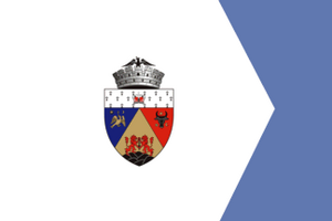 Zzzzz 1731372493img3040 — Ultimate Flag option 1313